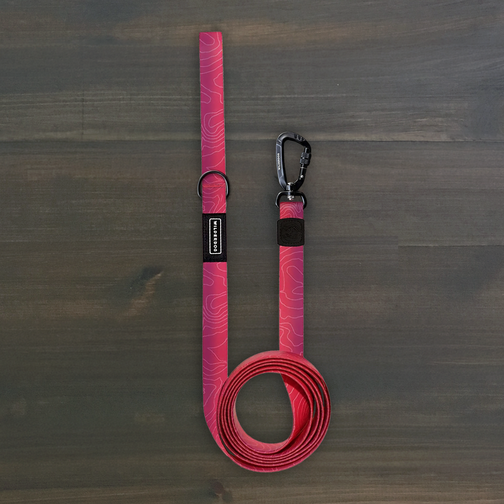 Waterproof Dog Leash product image 1