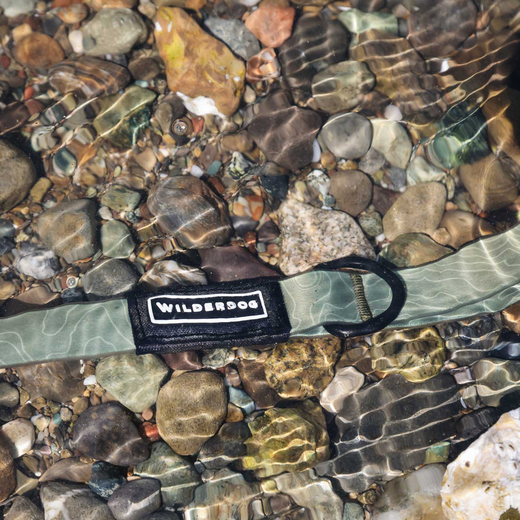 Waterproof Dog Collar product image 2