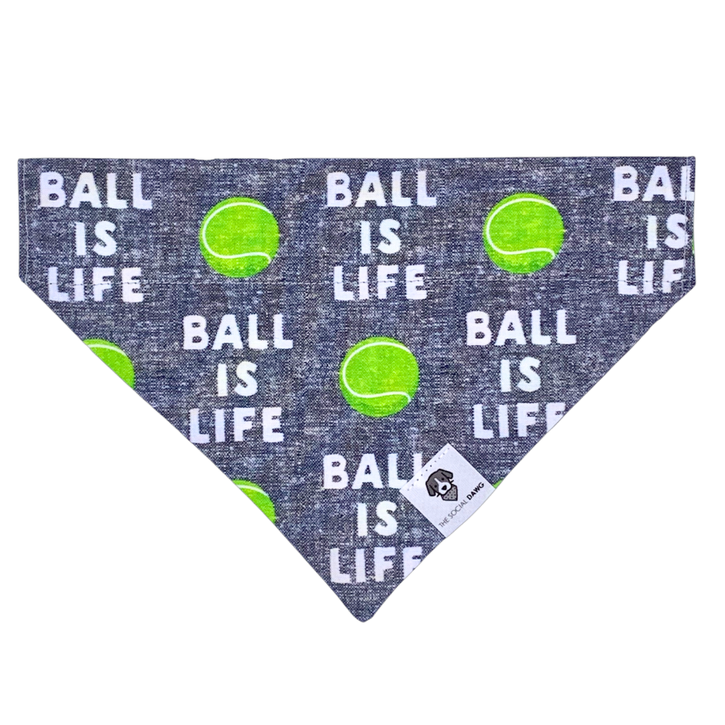Slip-On Dog Bandana product image 1