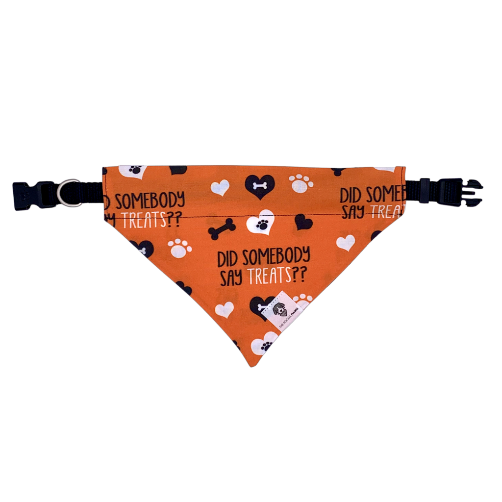 Dog Bandana product image 2