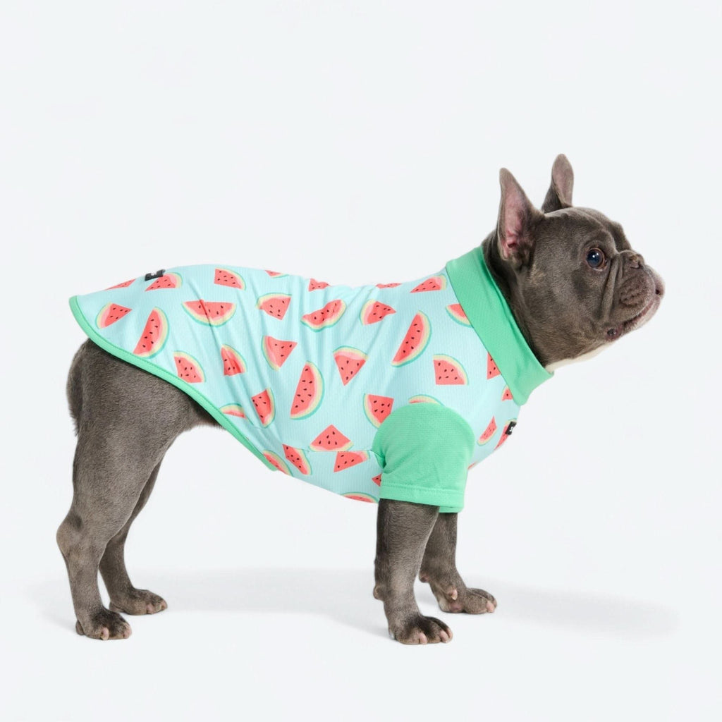 UPF 30 Printed Dog Sun Shirt product image 33