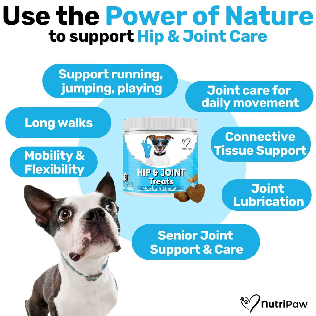 Hip & Joint Treat product image 2