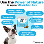 Hip & Joint Treat product image 2