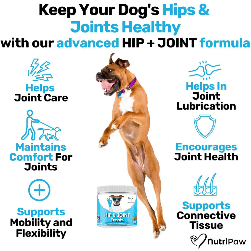 Hip & Joint Treat product image 3