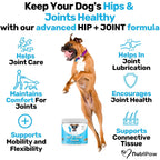 Hip & Joint Treat product image 3