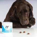 Hip & Joint Treat product image 8