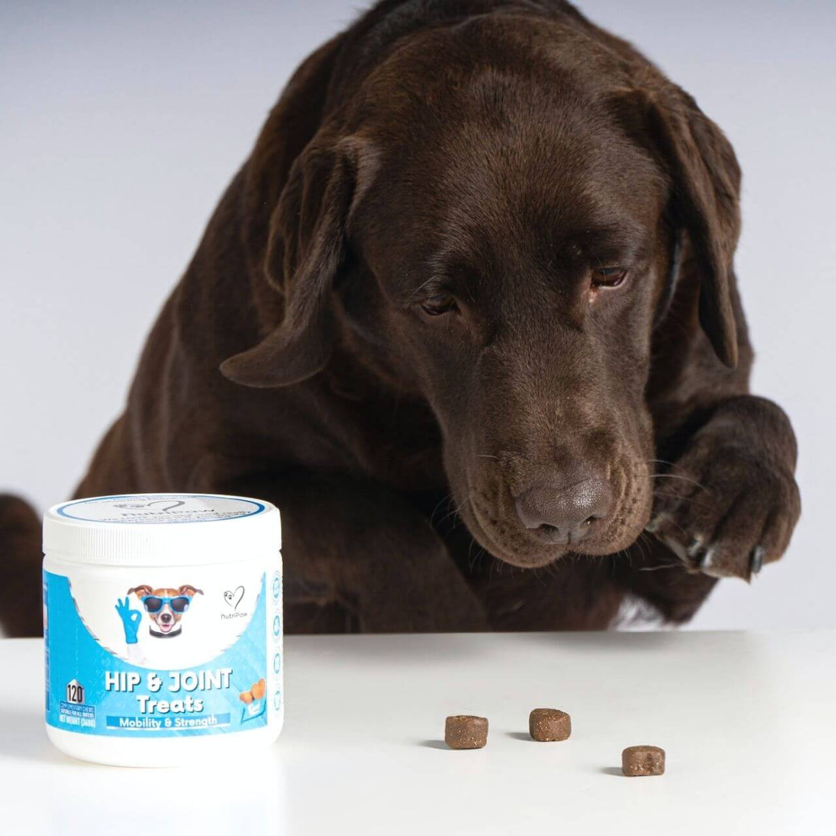 Hip & Joint Treat product image 8