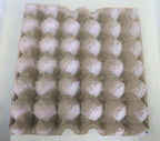 Dubia Roach Breeder Bundle product image 2
