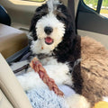 Braided Bully Sticks product image 5