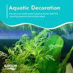 Aquarium Plant product image 8
