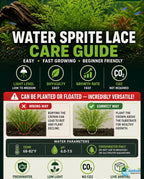 Aquarium Plant product image 15