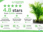 Aquarium Plant product image 18