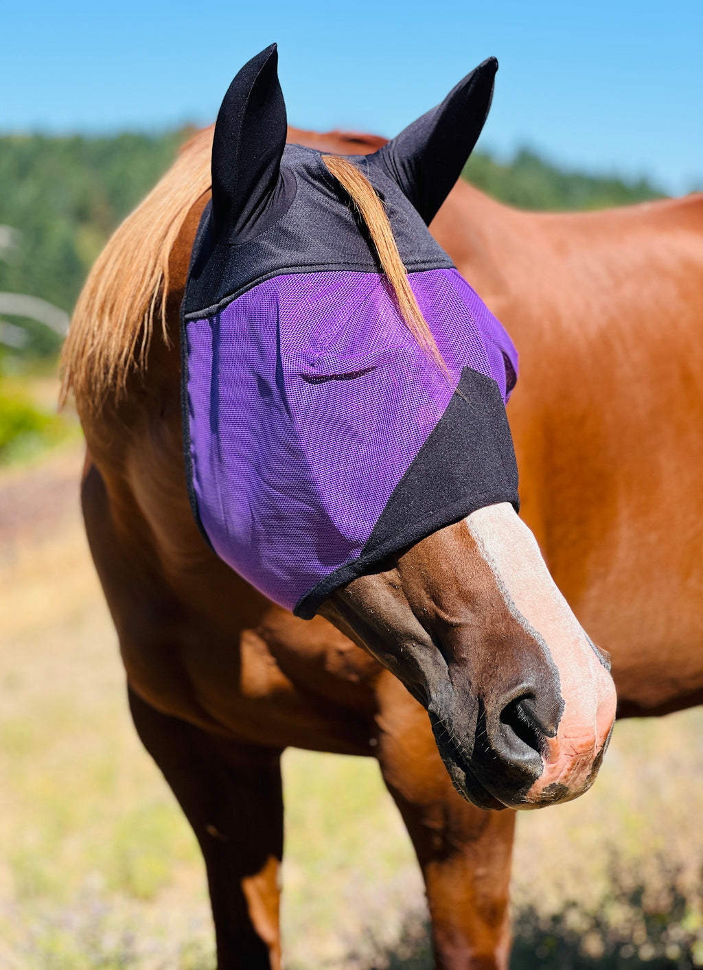 Horse Fly Mask product image 2