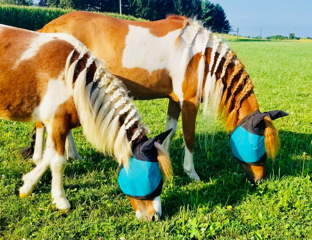 Horse Fly Mask product image 3
