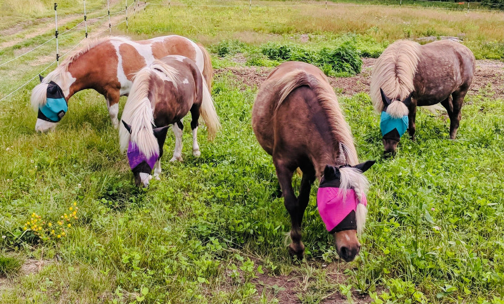 Horse Fly Mask product image 6
