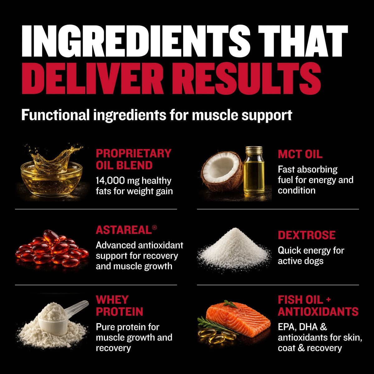 Liquid Muscle Support Supplement for Dogs product image 2