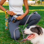 Dog Treat Pouch product image 22