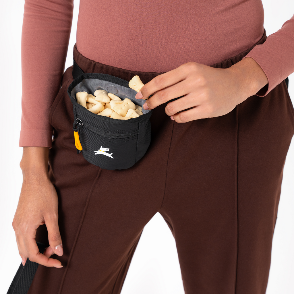 Dog Treat Pouch product image 93