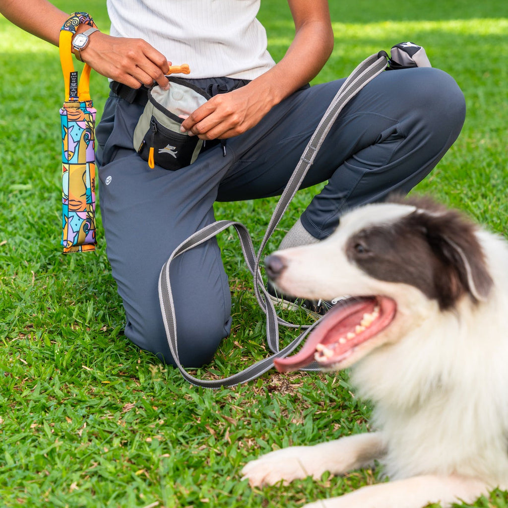 Dog Treat Pouch product image 108