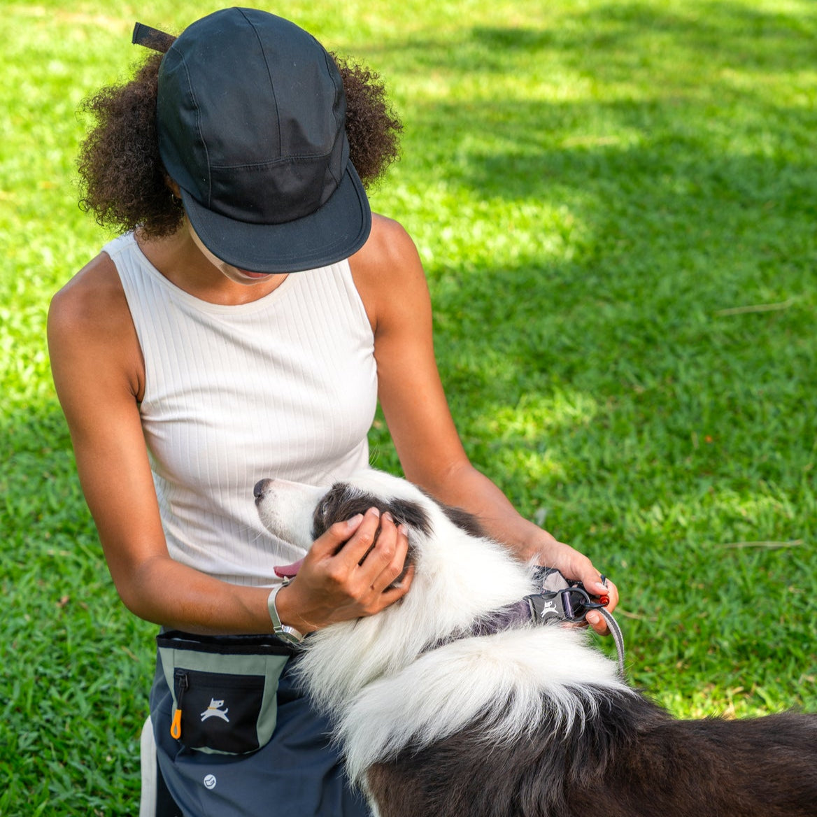 Dog Treat Pouch product image 120