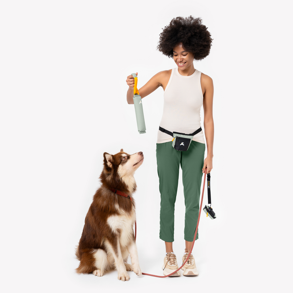 Dog Treat Pouch product image 160