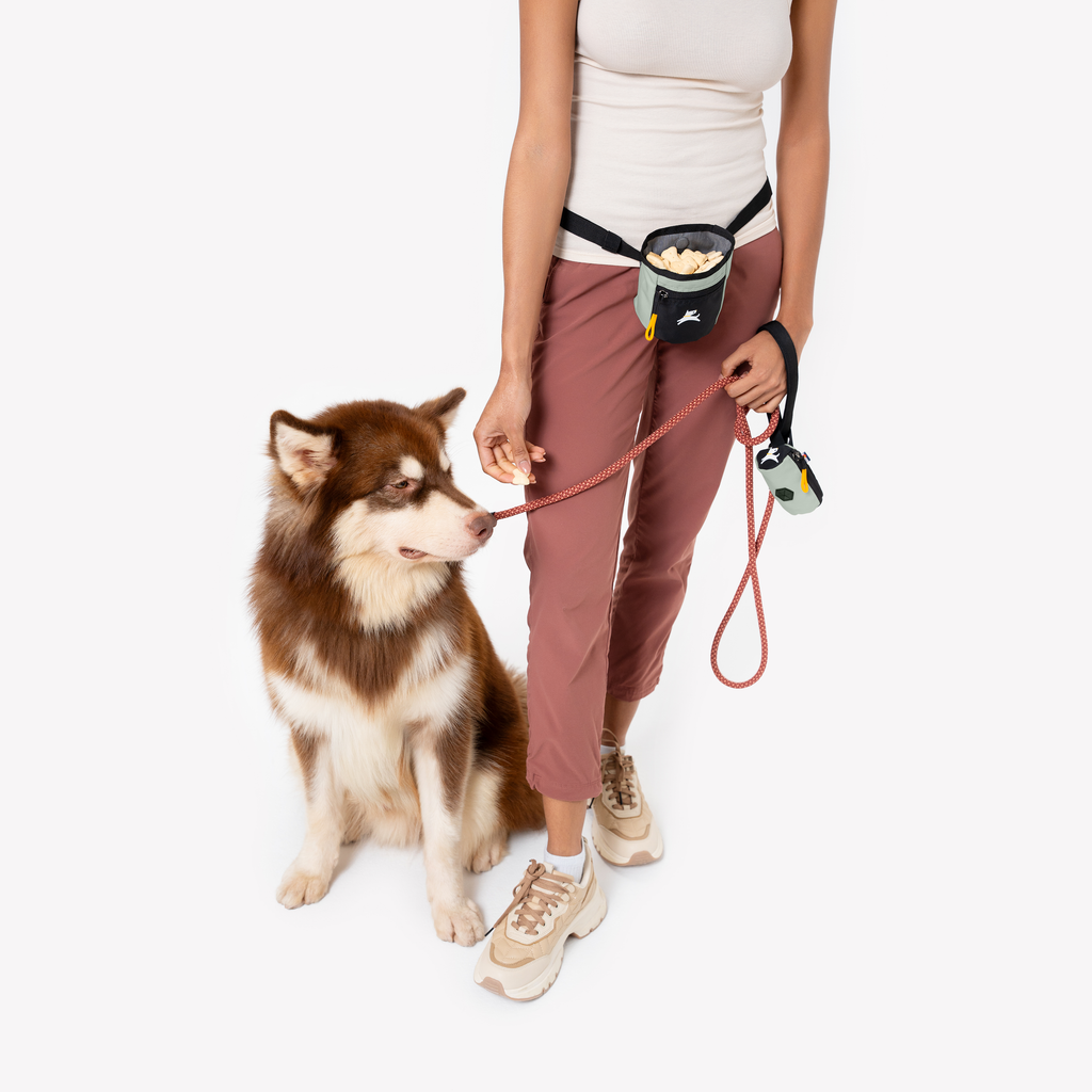 Dog Treat Pouch product image 165