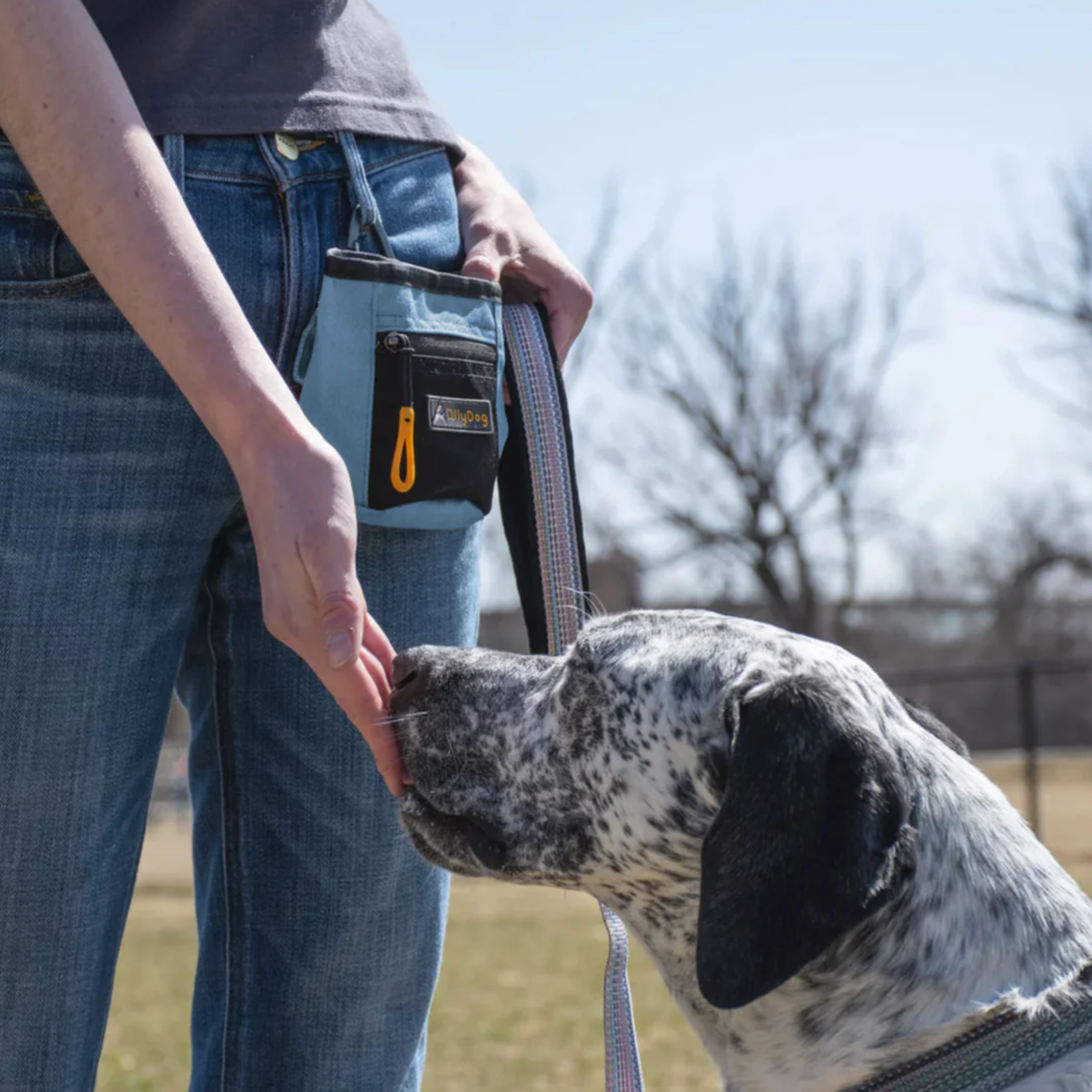 Dog Treat Pouch product image 200