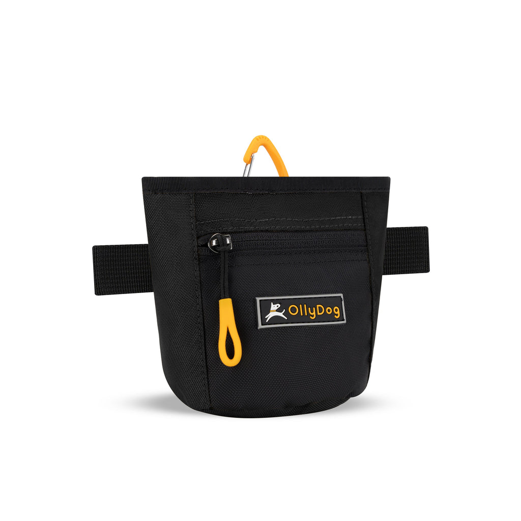 Dog Treat Pouch product image 205