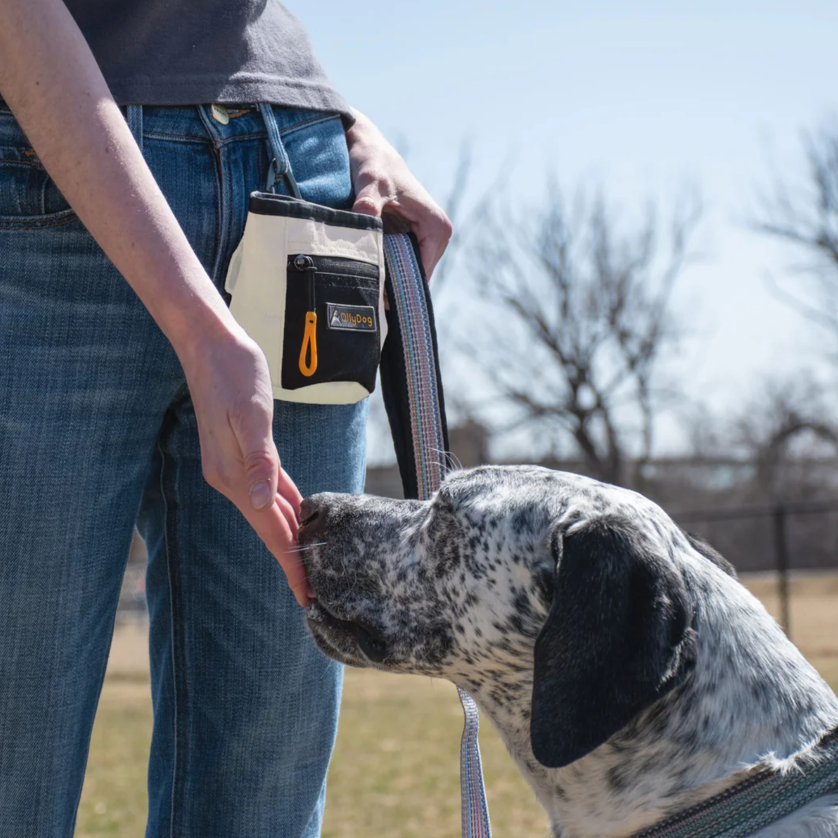 Dog Treat Pouch product image 218