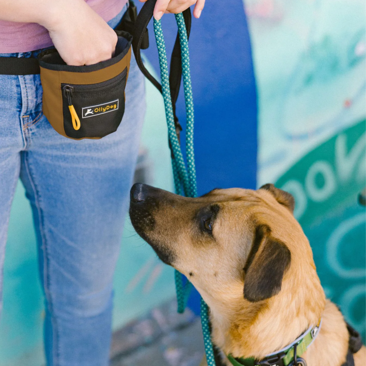 Dog Treat Pouch product image 236