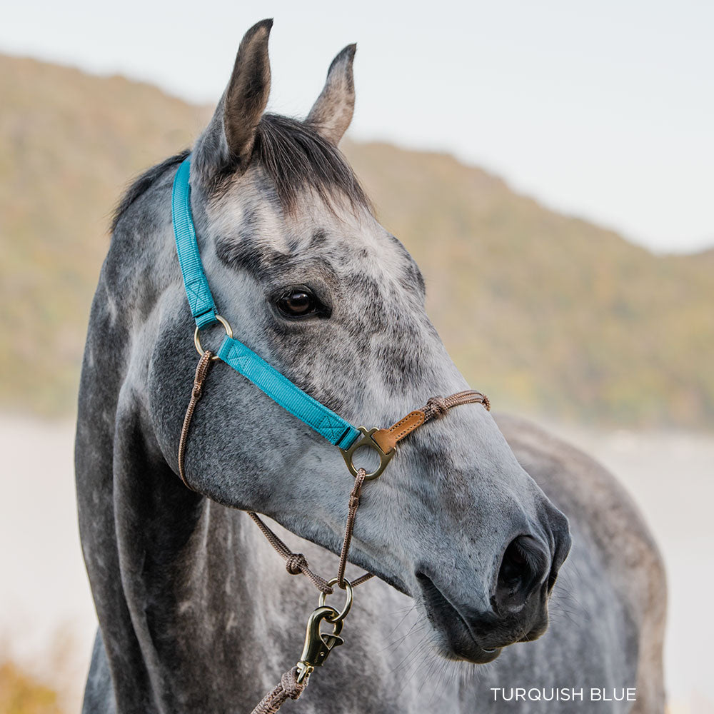 Horse Halter product image 1