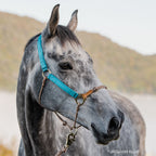 Horse Halter product image 1