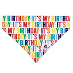 Birthday slip-on dog bandana.