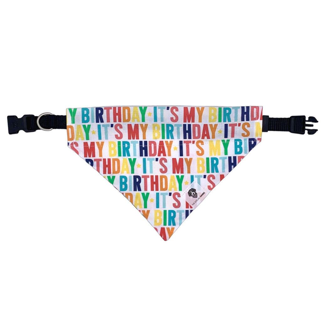 It's my birthday dog bandana.