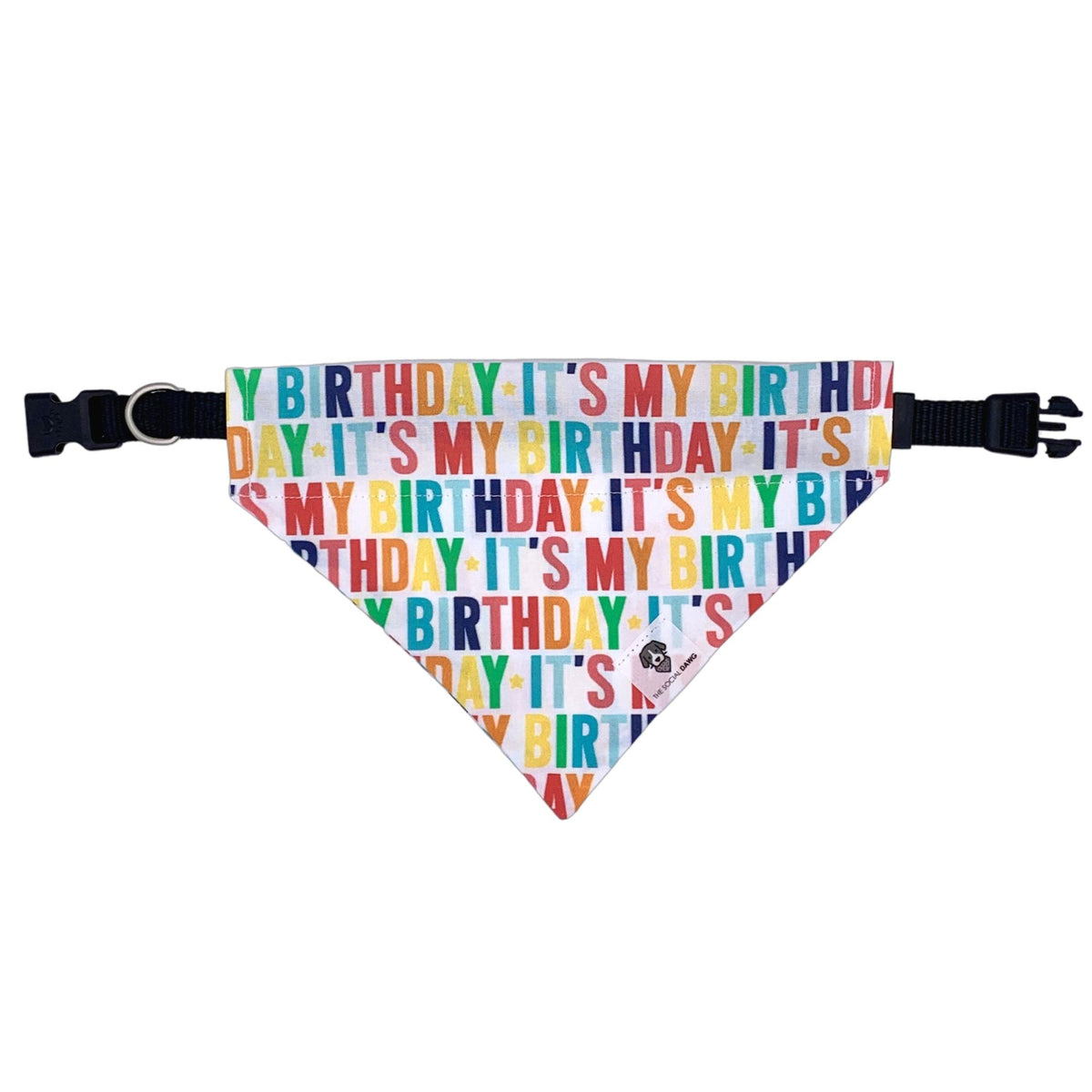 It's my birthday dog bandana.