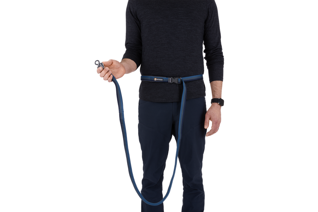 Hands-Free Bungee Dog Leash product image 14