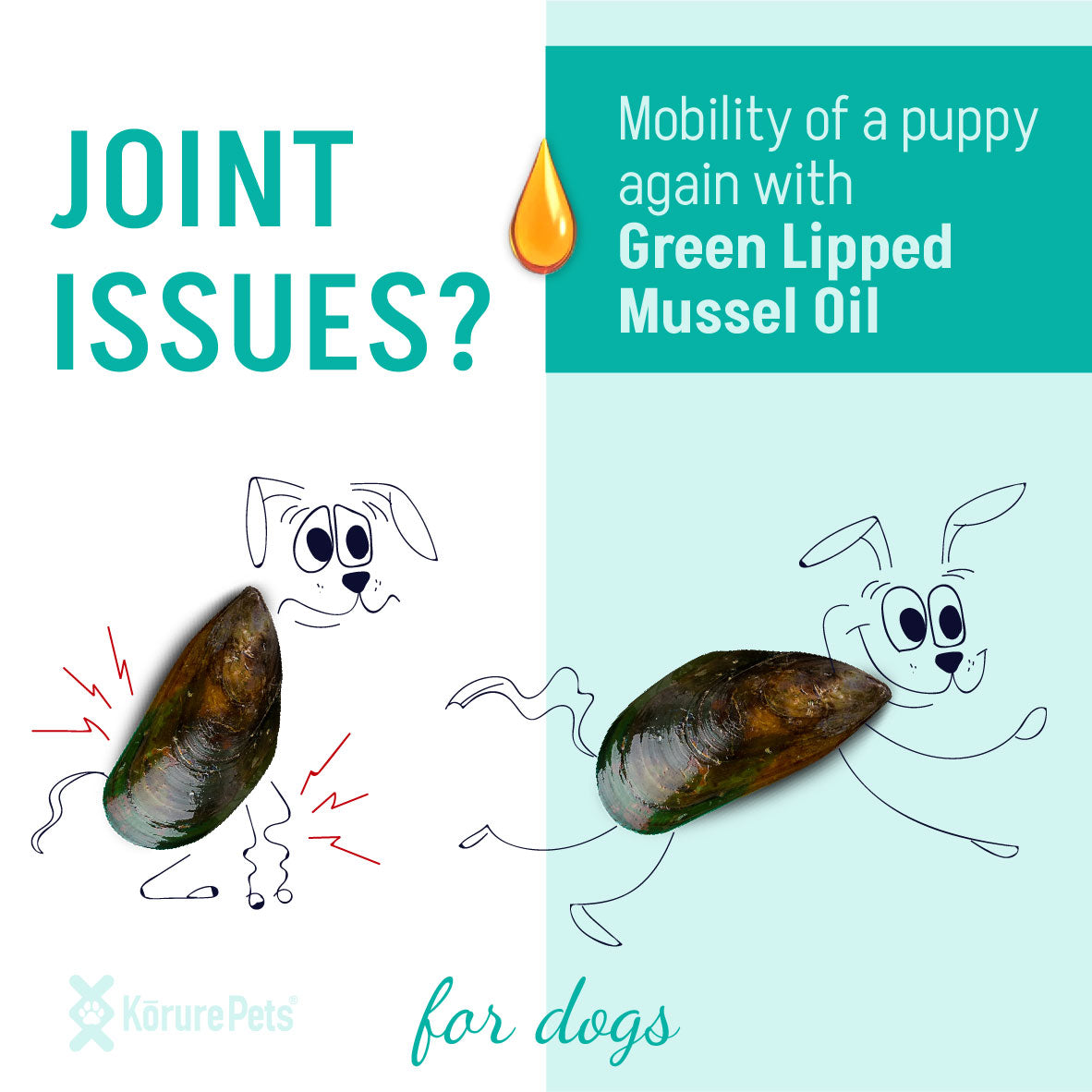 Dog Green-Lipped Mussel Oil product image 2