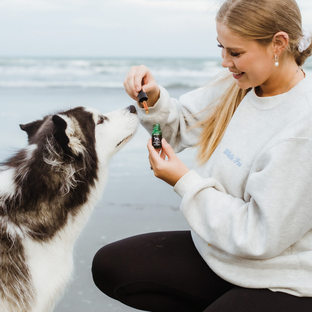 Dog Green-Lipped Mussel Oil product image 4