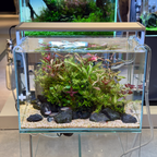 Rimless Aquarium product image 6