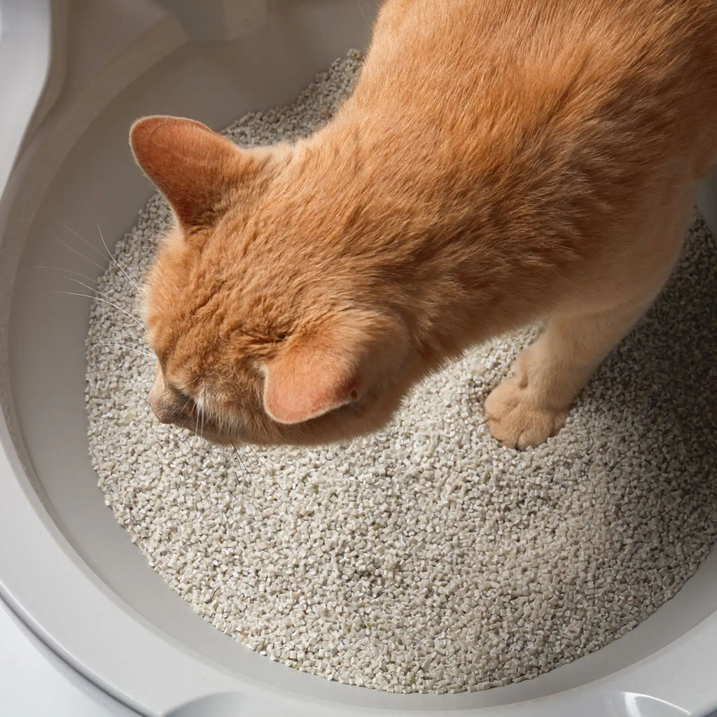 Washable Granules product image 3