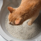 Washable Granules product image 3