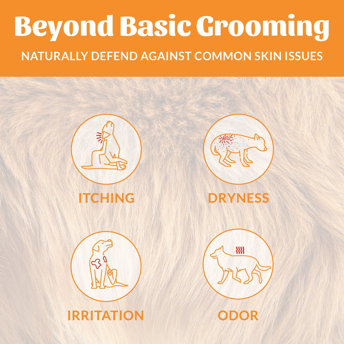 Probiotic Pet Shampoo and Conditioner product image 5