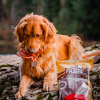 Pig Ear Treats for Dogs Natural Farm Shop Ears