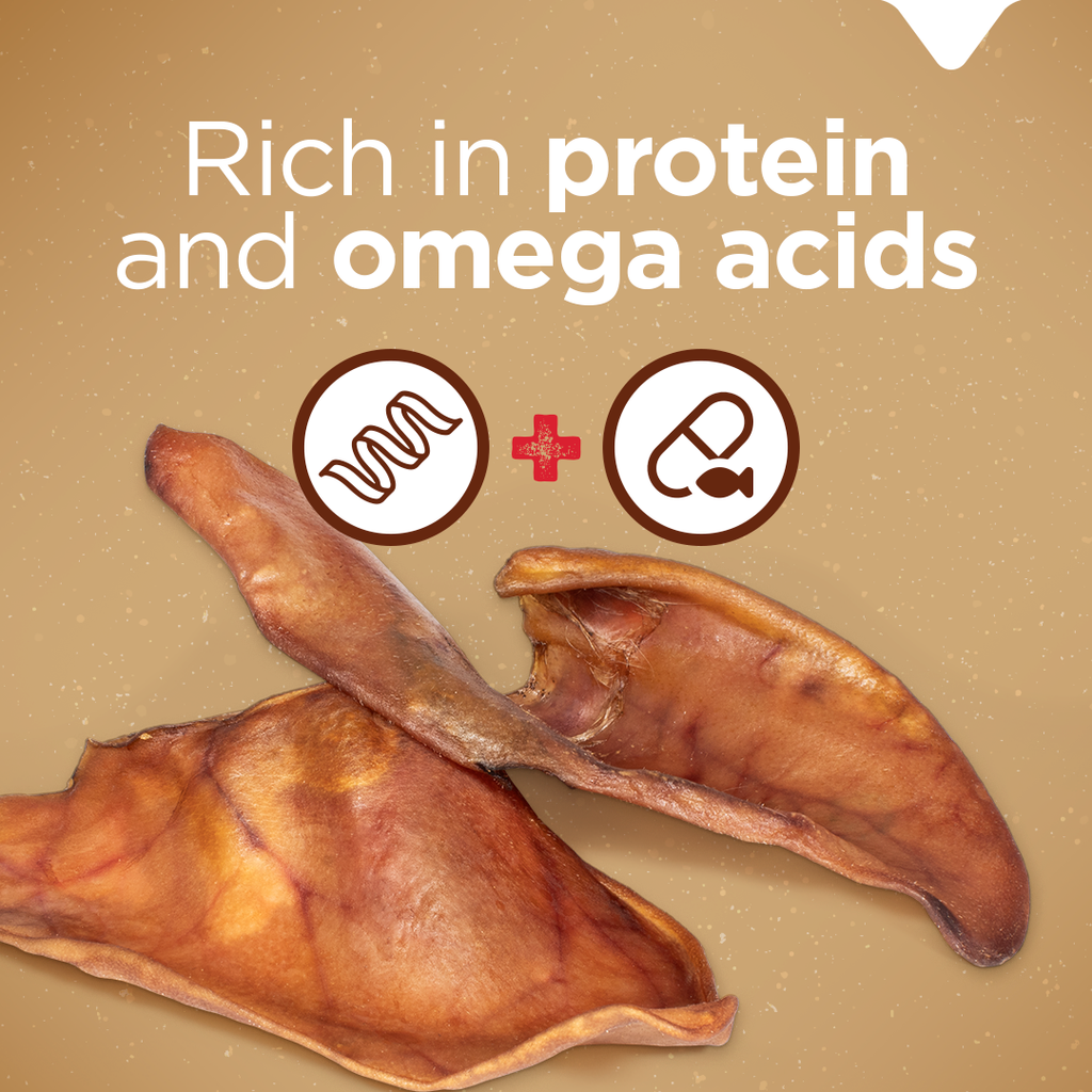 Pig Ear Treats for Dogs Natural Farm Shop Ears