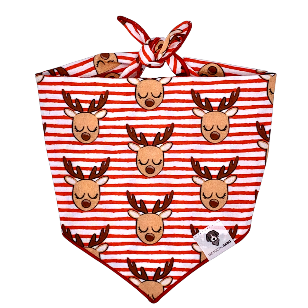 Dog Bandana product image 1