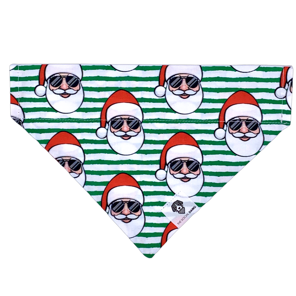 Dog Bandana product image 1