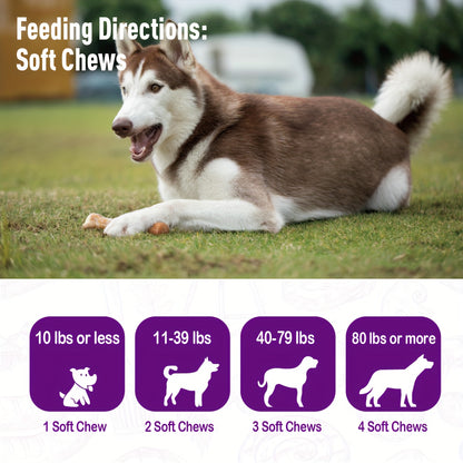 Dog Probiotic & Digestive Enzyme Chews with Prebiotics – Gut Health, Skin Sensitivity Support & Digestive Balance Soft Chew Supplement for Dogs, 30 Chews (75g) or 120 Chews (300g)