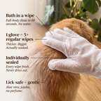 Full-Body Pet Glove Wipes product image 5