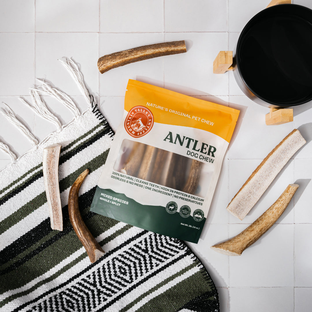 Mixed Antler Dog Chew Pack product image 4