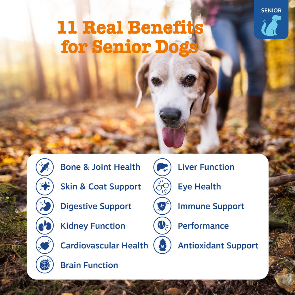 Dog Multivitamin Chew product image 5